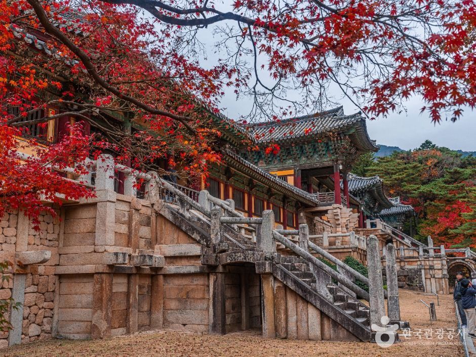 仏国寺(慶州・仏国寺・石窟庵・普門湖)