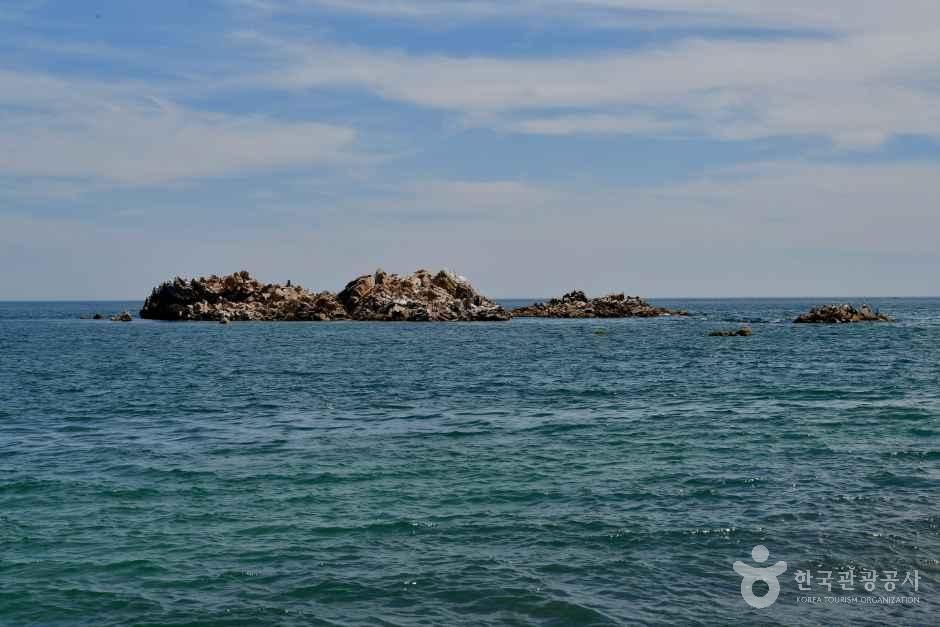 文武大王陵(大王岩)(慶州・東海岸・甘浦)