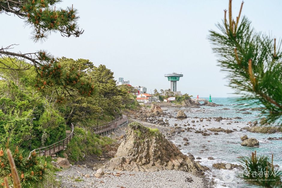 陽南柱状節理・波の音道(慶州・東海岸・甘浦)