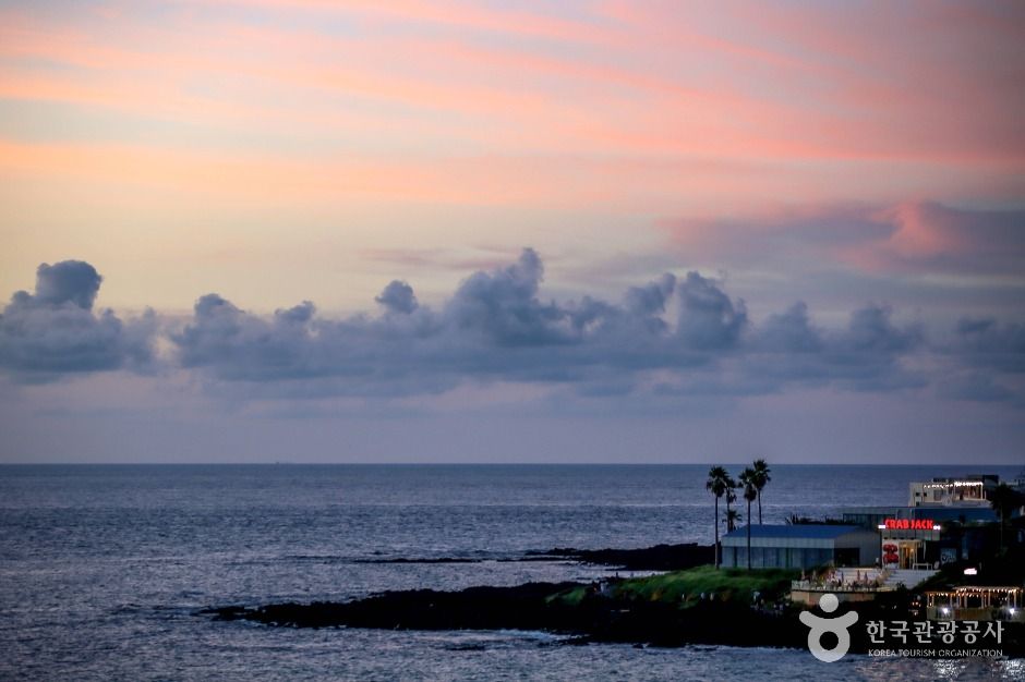 漢潭海岸散策路・涯月カフェ通り(済州島・涯月・翰林)