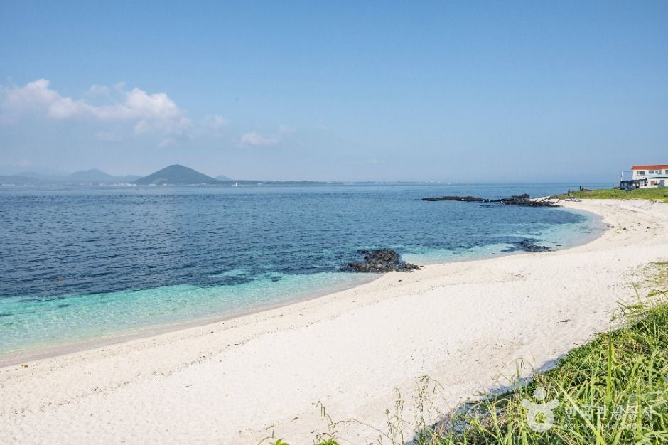 牛島(済州島・城山・渉知コジ)