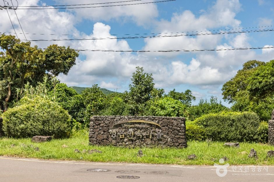 城邑民俗村(済州島・城邑・橋来)