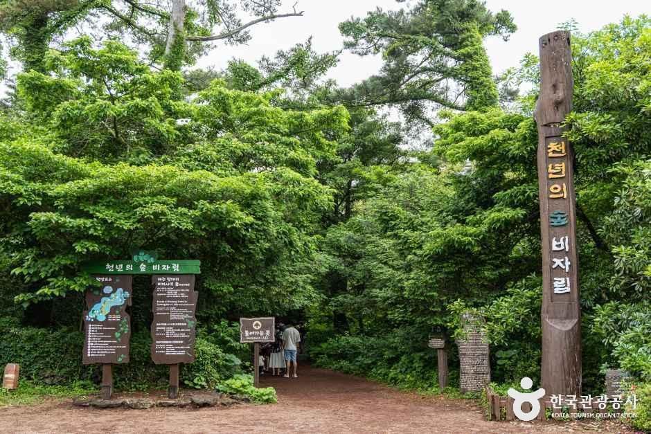 ビジャリム(済州島・咸徳・旧左)