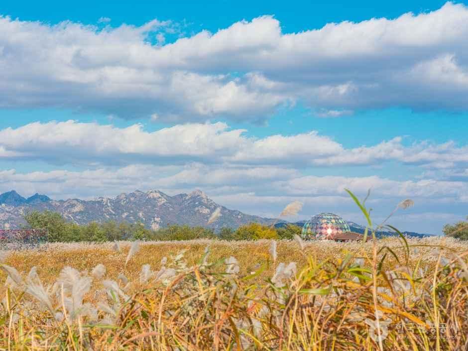 空公園(ハヌル公園)(ソウル・弘大・延南洞・望遠洞)