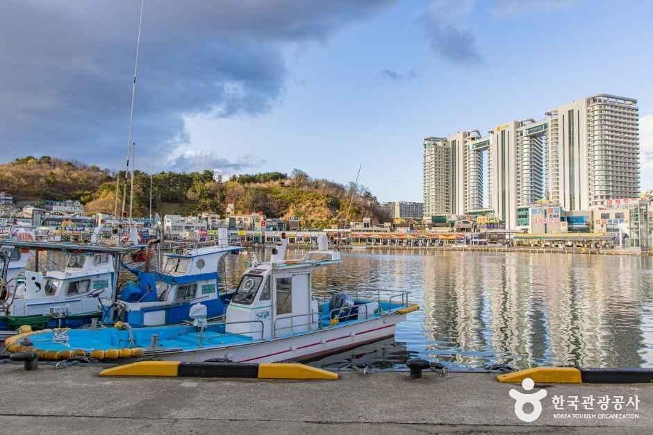 大浦港(束草・大浦港・外雍治)