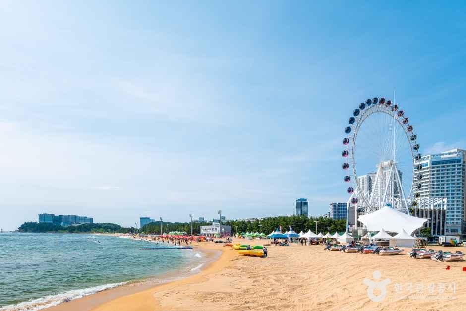 束草海水浴場(束草・青湖洞・束草海水浴場)